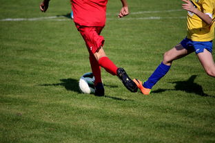 爱游戏体育在线-世界台球联赛中国队勇夺团体亚军，世界台球联赛中国队勇夺团体亚军是谁